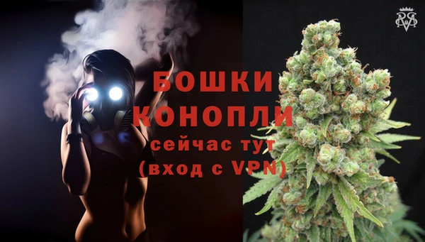молекула духа Баксан